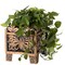 Gardenised Set of 2 Outdoor Living Butterfly Square Plant Stands Flower Pots, Bronze Finish QI004122 - alternate 6
